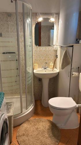 a bathroom with a shower and a toilet and a sink at Nyárfa Vendégház in Debrecen