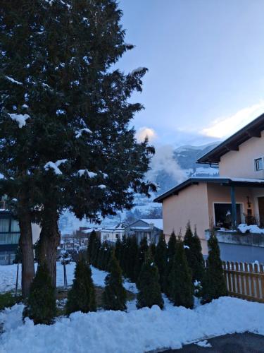 a tree in the snow next to a house at Apart Ritzl in Fügen