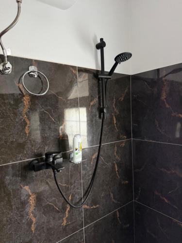 a shower in a bathroom with a black wall at Riza Guest House in Pukë