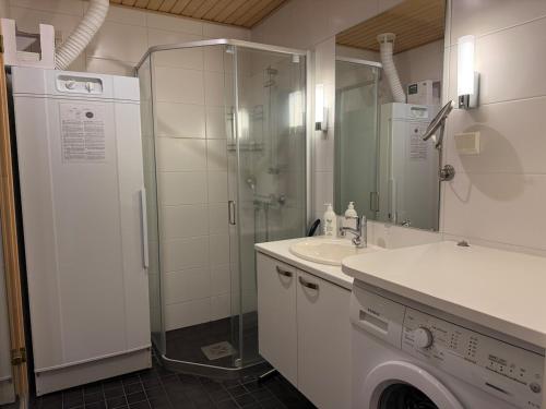 a bathroom with a shower and a sink and a washing machine at Chalet in Vierumäki with golf course view in Lahti