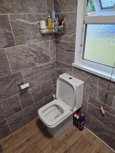 a bathroom with a toilet in a tiled wall at Waters Edge Lodge in Caeathro