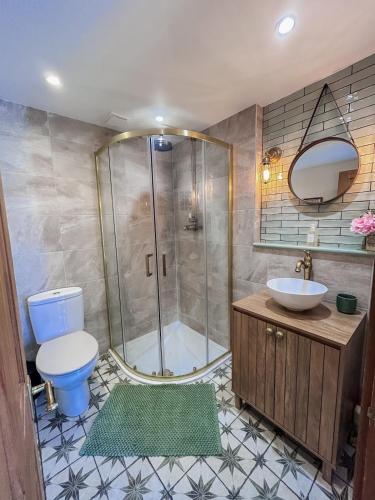a bathroom with a shower and a toilet and a sink at The Willow Nest in Hambleden