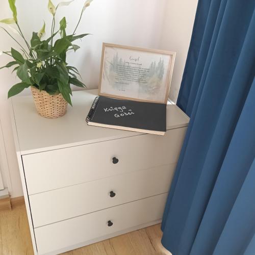 a dresser with a book and a plant on it at Sowia Dziupla in Zagórze Śląskie