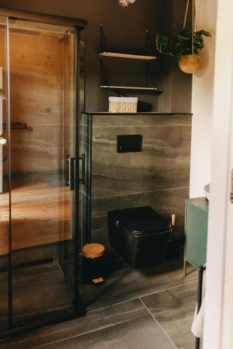 ein Badezimmer mit Toilette und Glastür in der Unterkunft Otuli in Ćmińsk