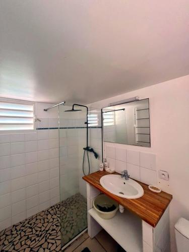 a bathroom with a sink and a shower at Baobab in Sainte-Anne