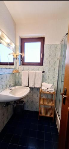 a bathroom with a sink and a glass shower at Urlaub by Julka in Ledenitzen