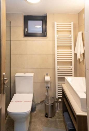 a bathroom with a toilet and a sink at Ονειρόπετρα 2 in Mouzaki