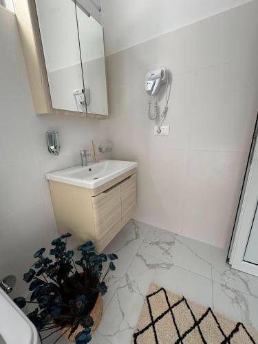 a bathroom with a sink and a mirror and a plant at Luka Vacation House in Ulcinj