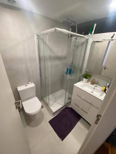 a bathroom with a shower and a toilet and a sink at Casa dos Paralelos RC in Moledo