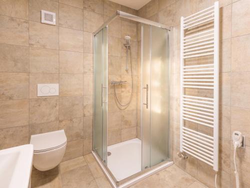 a bathroom with a shower and a toilet at Apartmán pod Pustým vrchem in Říčky