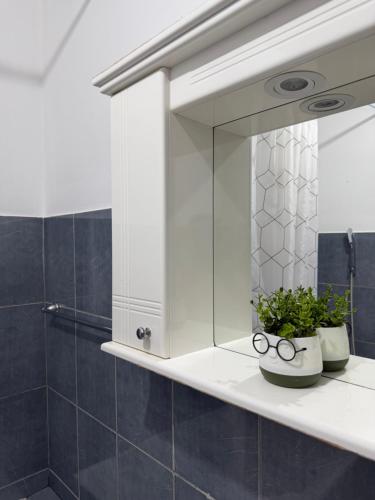 a bathroom with a mirror and two plants on a shelf at Cartagena Urban Escape in Brčko