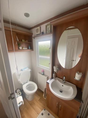 a bathroom with a toilet and a sink and a mirror at Angie Bs Beach Haven in Groomsport