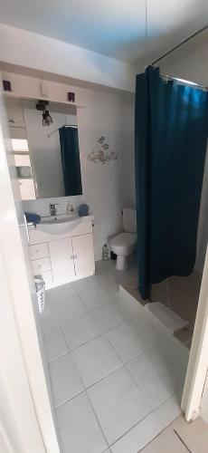 a bathroom with a shower and a sink and a toilet at Kaz'Iguan in Saint-François