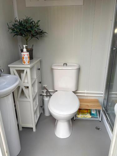a white bathroom with a toilet and a sink at Rogarnet caravan park in Three Legged Cross