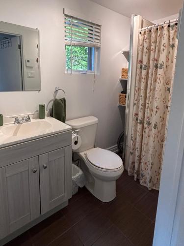 a bathroom with a toilet and a sink and a mirror at L'Opie in Saint Adolphe D'Howard
