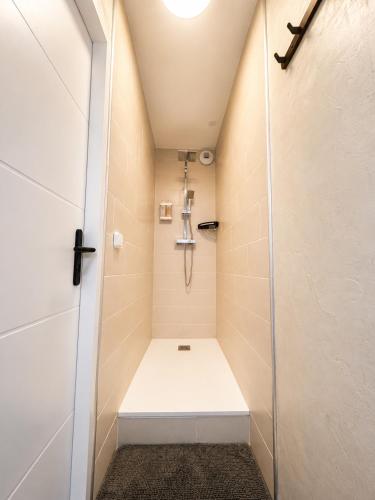 a small bathroom with a shower with a toilet at Les Marcassins - Cinéma privé - Alpexpo - 5 Chambres in Échirolles