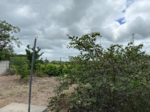 a pole next to a tree in a garden at El Refugio de Montenegro in Montenegro