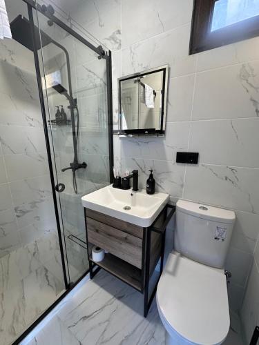 a bathroom with a toilet and a shower and a sink at Container House Zakani in Zak'at'kari