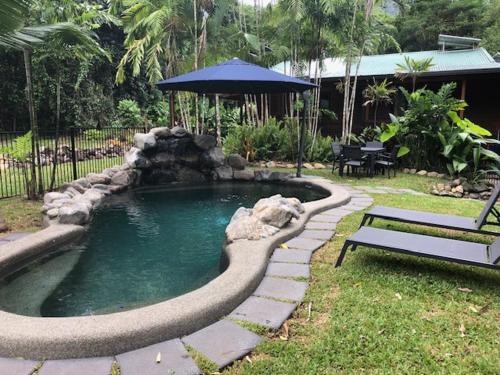 a swimming pool with a bench and an umbrella at Wildwood in Cape Tribulation