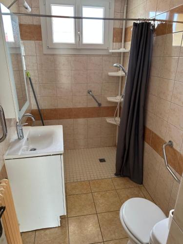 a bathroom with a shower and a sink and a toilet at L'Authentique Jurassien in Champagnole