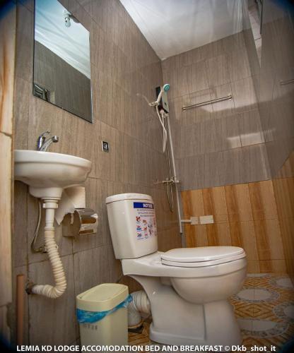 a bathroom with a toilet and a sink at Le Mia KD lodge in Sekondi-Takoradi