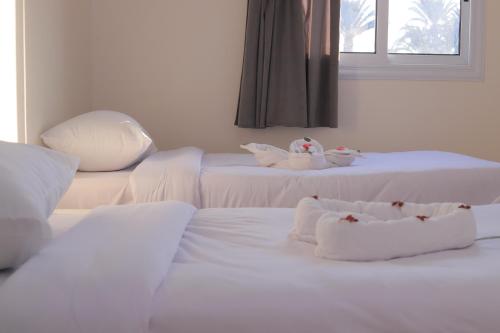 two beds with white sheets and stuffed animals on them at sunrise house in Luxor