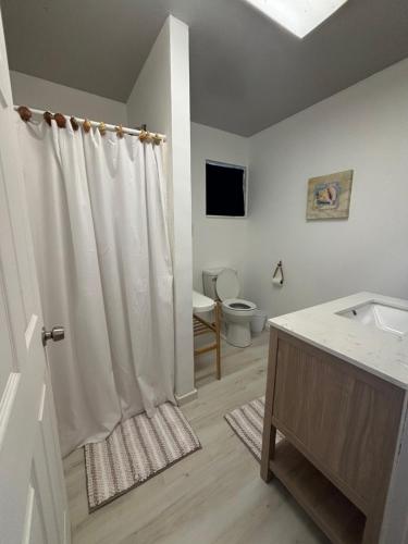a bathroom with a sink and a toilet and a shower at The conch cottage in Crystal River
