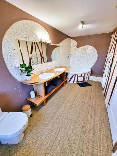 a bathroom with a toilet and a sink and a mirror at Le Cottage in Aguts