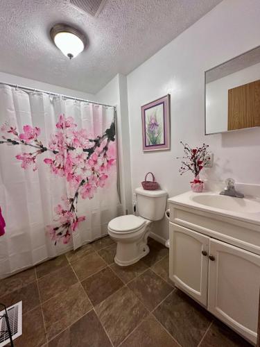 a bathroom with a toilet and a sink and a shower curtain at Downtown 2 BR Cottage Close to IU in Bloomington