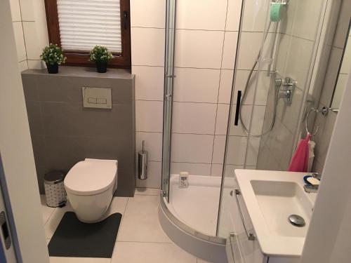 a bathroom with a shower and a toilet and a sink at Apartament Danusia in Szczawnica