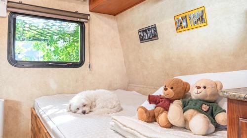 two teddy bears and a dog laying on a bed at gyeongju yongcheonsu caravan in Gyeongju