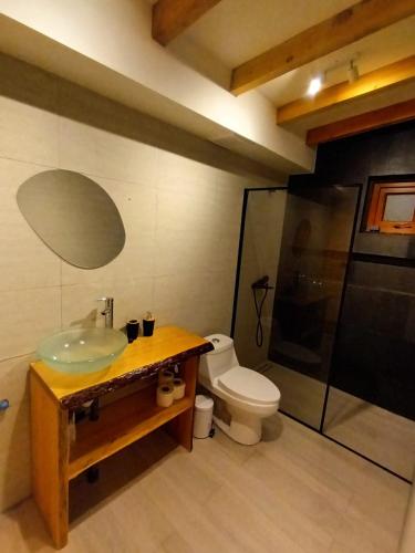 a bathroom with a sink and a toilet and a shower at Cabaña Lafken in Panguipulli