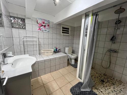 a bathroom with a sink and a shower and a toilet at Charming house in a natural setting in Sainte-Rose