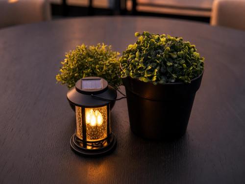 a candle and a potted plant on a table at Roami at Zuni in Denver