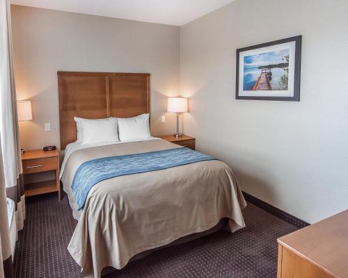 a hotel room with a bed and two lamps at Comfort Inn & Suites Bonnyville in Bonnyville