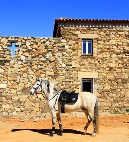 a white horse standing in front of a stone building at Couto dos Pardinhos in Monforte da Beira