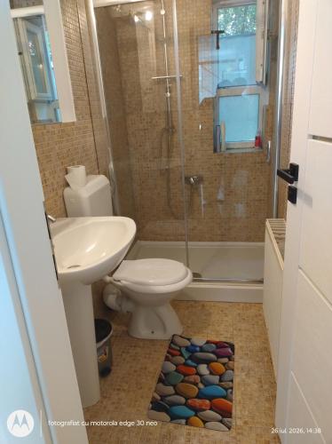 a bathroom with a toilet and a sink and a shower at Casa Albinelor - Apartament 2-6 persoane in Braşov