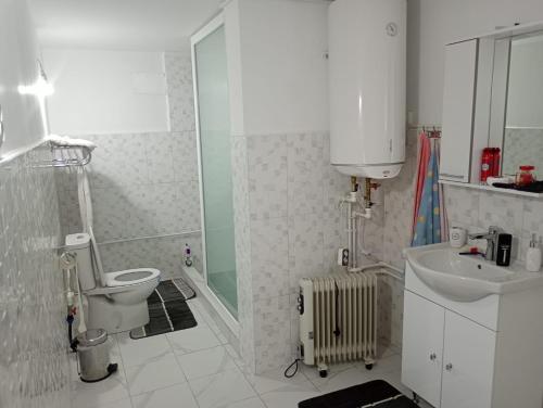a bathroom with a toilet and a sink and a shower at Rustic House in Costeşti