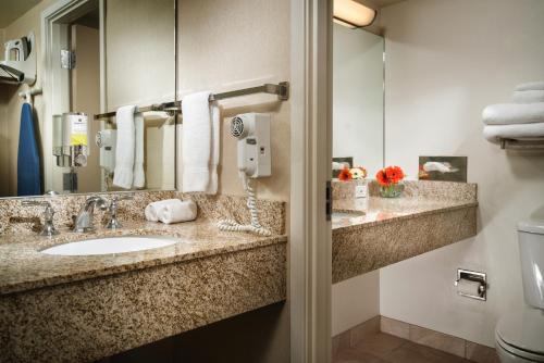 a bathroom with a sink, toilet and mirror at Staypineapple, University Inn, University District Seattle in Seattle