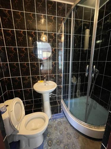 ein Badezimmer mit Toilette, Waschbecken und Dusche in der Unterkunft Baisuu in Bosteri
