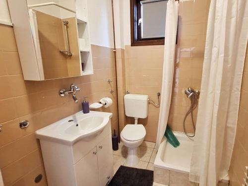 a bathroom with a toilet and a sink and a shower at Apartment Rendulic in Rakovica