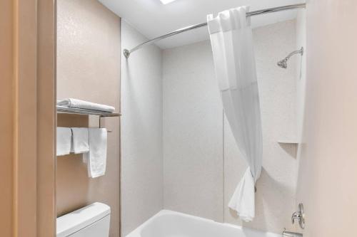 a bathroom with a shower and a white toilet at Quality Inn in Helen