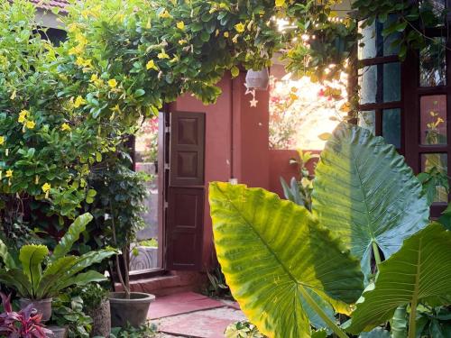 an entrance to a garden with a red door at Summer Beach House in Alleppey
