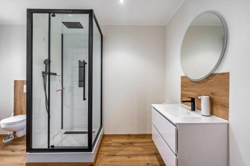 a bathroom with a shower and a sink and a mirror at Ferienhaus Nala Görlitz in Görlitz