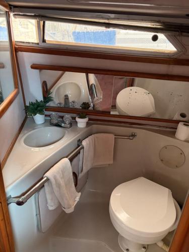 a small bathroom with a toilet and a sink at Sunset boat in Leucate-Plage