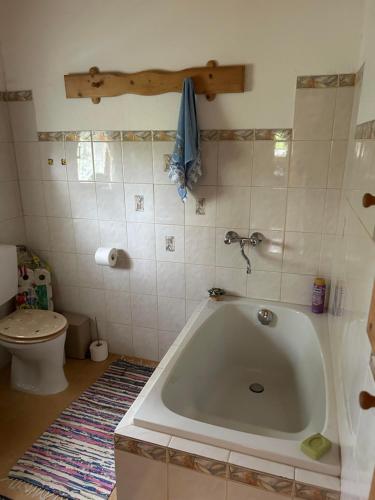 a bathroom with a bath tub and a toilet at Jakobihütte in Sankt Margarethen bei Knittelfeld