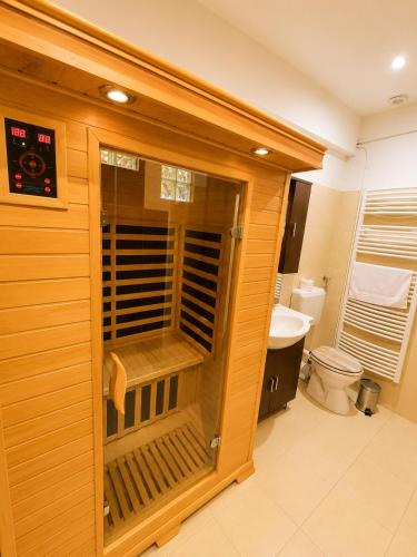 a bathroom with a toilet and a wooden wall at Ezüstfenyő Hotel in Telkibánya