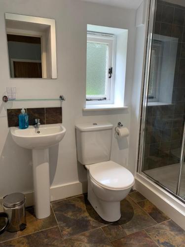 a bathroom with a toilet and a sink and a shower at Lodge 1, The Grange in Wick