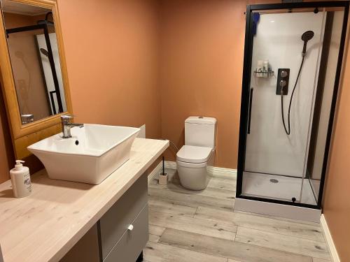 a bathroom with a toilet and a sink and a shower at Arkaadia in Viljandi
