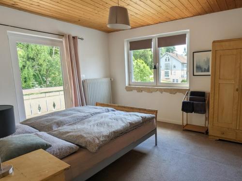 a bedroom with a bed and two windows at Forest Lodge - perfekt für Familien und Freunde in Bayerisch Eisenstein